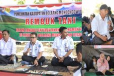 Penuhi Kebutuhan Pangan, SJL Sampaikan Terima Kasih Untuk Petani Bolmut