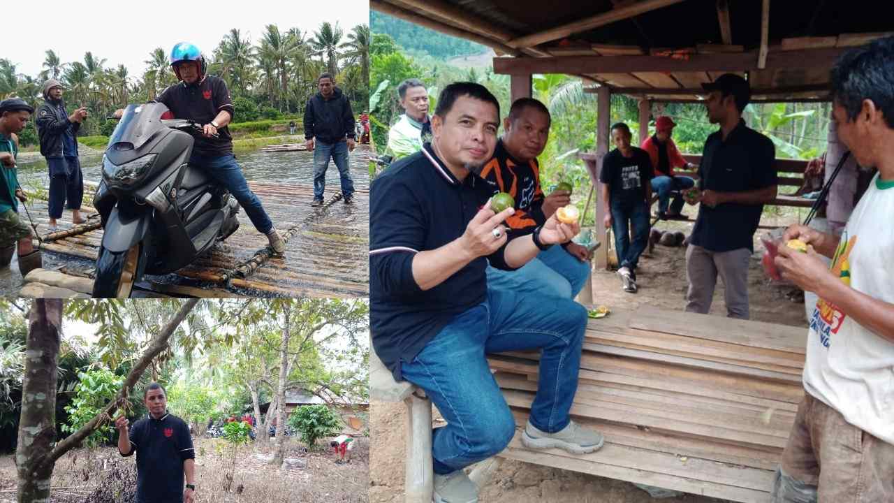 SJL Kembangkan Dusun Goyo Jadi Sentra Produksi Durian Montong