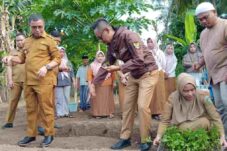 Ribuan Bibit Rica Ditanam di Kecamatan Pinogaluman, Sirajudin: Rawat Agar Menghasilkan
