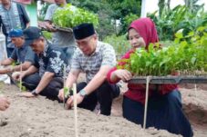 Sirajudin Tanam Rica di Kebun PKK Tombulang Timur