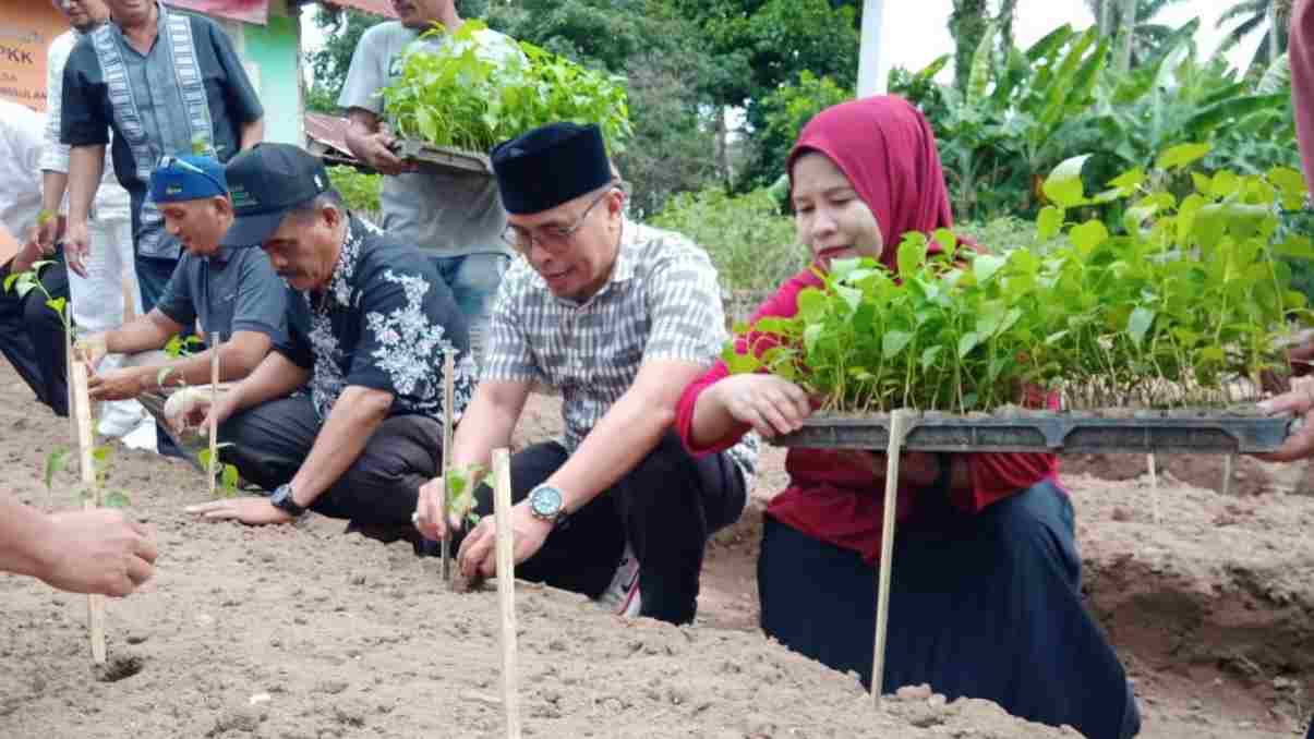 Sirajudin Tanam Rica di Kebun PKK Tombulang Timur