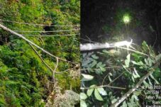 Listrik Padam Akibat Cuaca Buruk, PLN ULP Tondano Pastikan Kerusakan Jaringan Teratasi