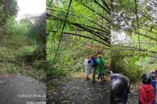 Cuaca Ekstrim Kembali Terjadi, PLN ULP Tondano Perbaiki Kerusakan Jaringan di Beberapa Titik