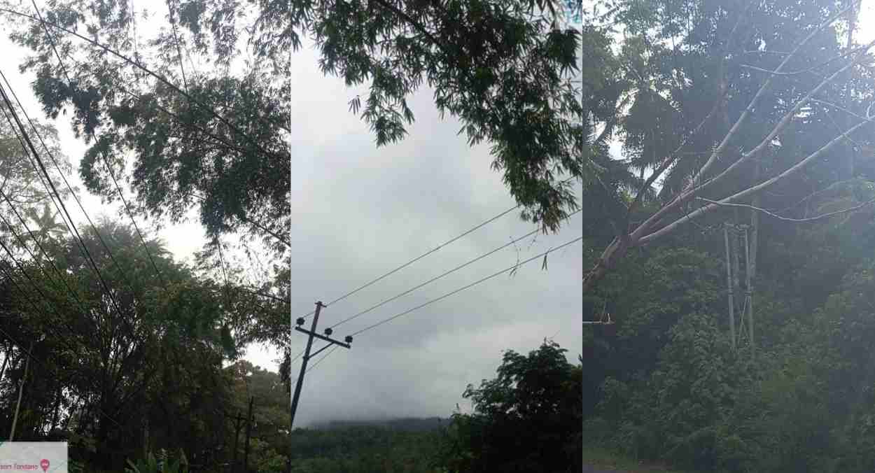 3 Kecamatan di Minahasa Jadi 'Tumbal' Cuaca Buruk, PLN ULP Tondano Gerak Cepat