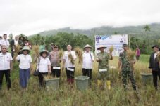 Walikota Tomohon Panen Raya dan Ikuti Pengumuman Swasembada Pangan Bersama Presiden RI