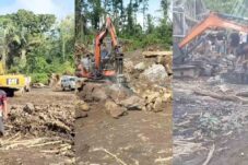 Nopit Sakti, Polres Tomohkn 'Tak Berkutik', Polda Sulut Diminta Turun Tangan