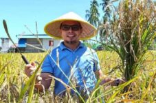 Sirajudin Lasena Panen Padi Bersama Warga di Desa Bintauna Pantai, Boltara