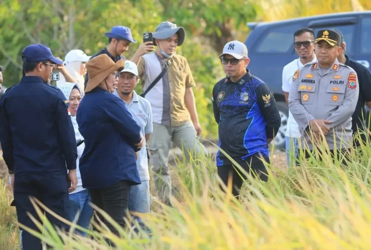 Jadi Percontohan Pertanian Modern di Sulut, Bupati Boltara Dr Sirajudin Lasena Tinjau Panen Padi IPB 9G Sistem Tabela di Jambusarang