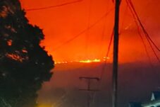 Gunung Lokon Tomohon Dilalap Api, 100 Hektare Kawasan Cagar Alam Ludes